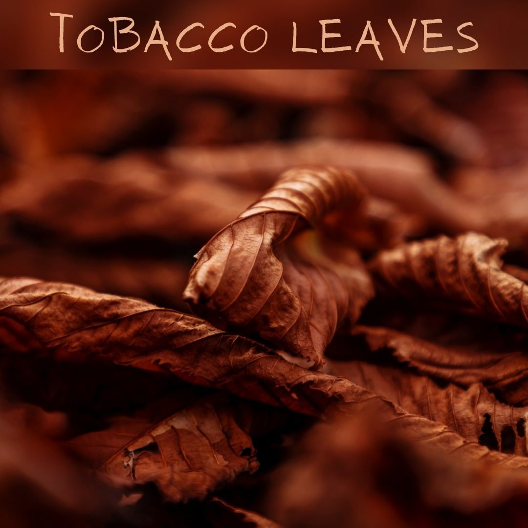 Κερί σόγιας tobacco leaves