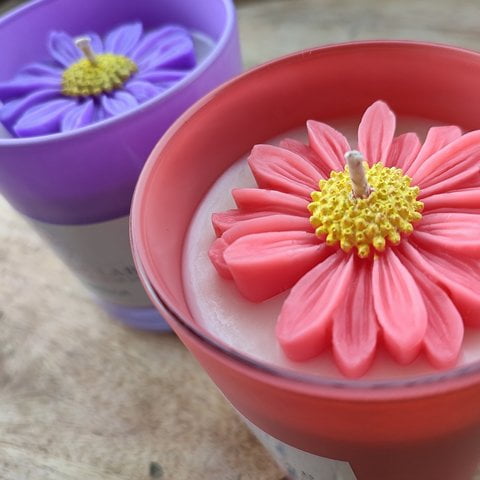 DAISIES MELTS SCENTED CANDLE