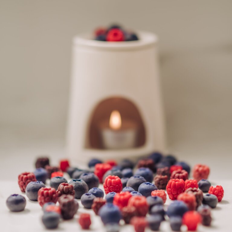 Φυτικό κερί melts berries carousel