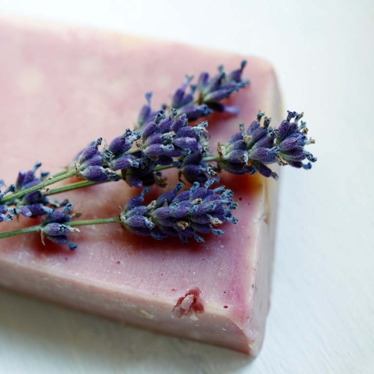 κερί σόγιας pink lavender
